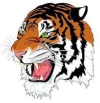 Tiger Logo
