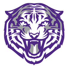 Lion Logo
